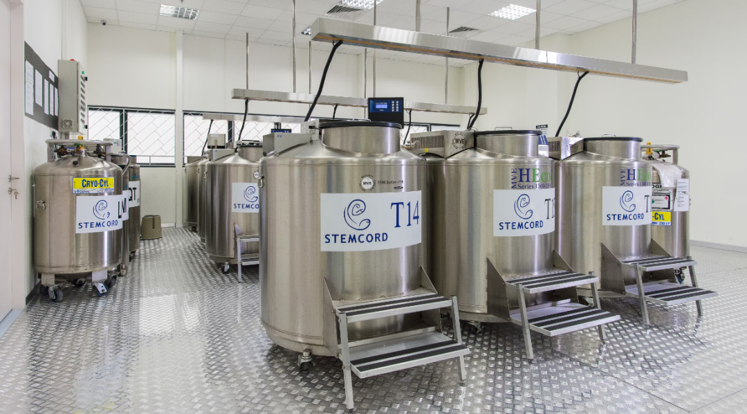 为何干细胞存储至关重要？因为它是你未来的健康保障！